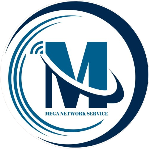MNS Logo